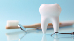 Tooth model next to a toothbrush and dental mirror