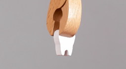 Illustration of a tooth being removed with a dental extraction tool